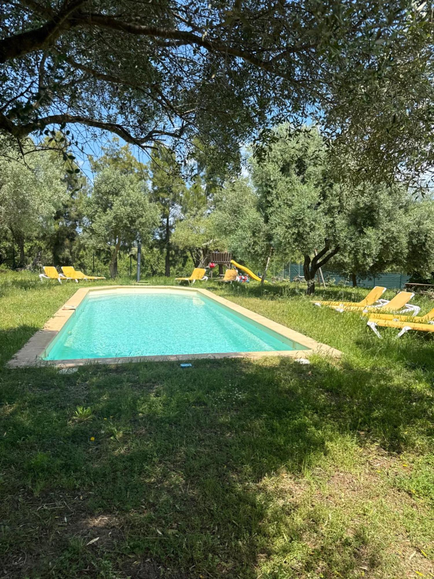 Gite Au Paradis, Parc Animalier Olmeta-di-Tuda Exterior foto